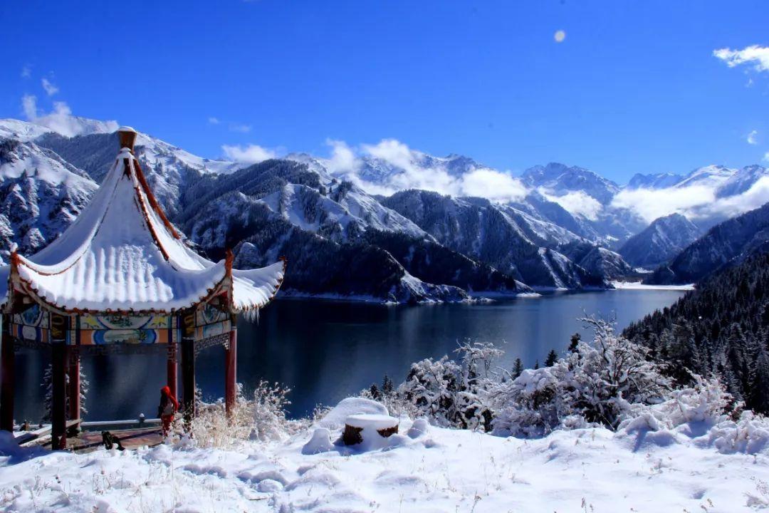 操作指南！转转平台如何回收？
